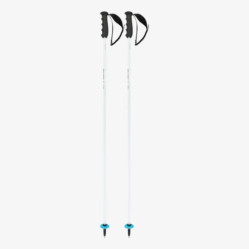 WORLDCUP CARBON