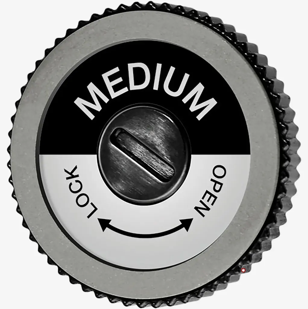 DISQUE DIAMANTÉ MEDIUM