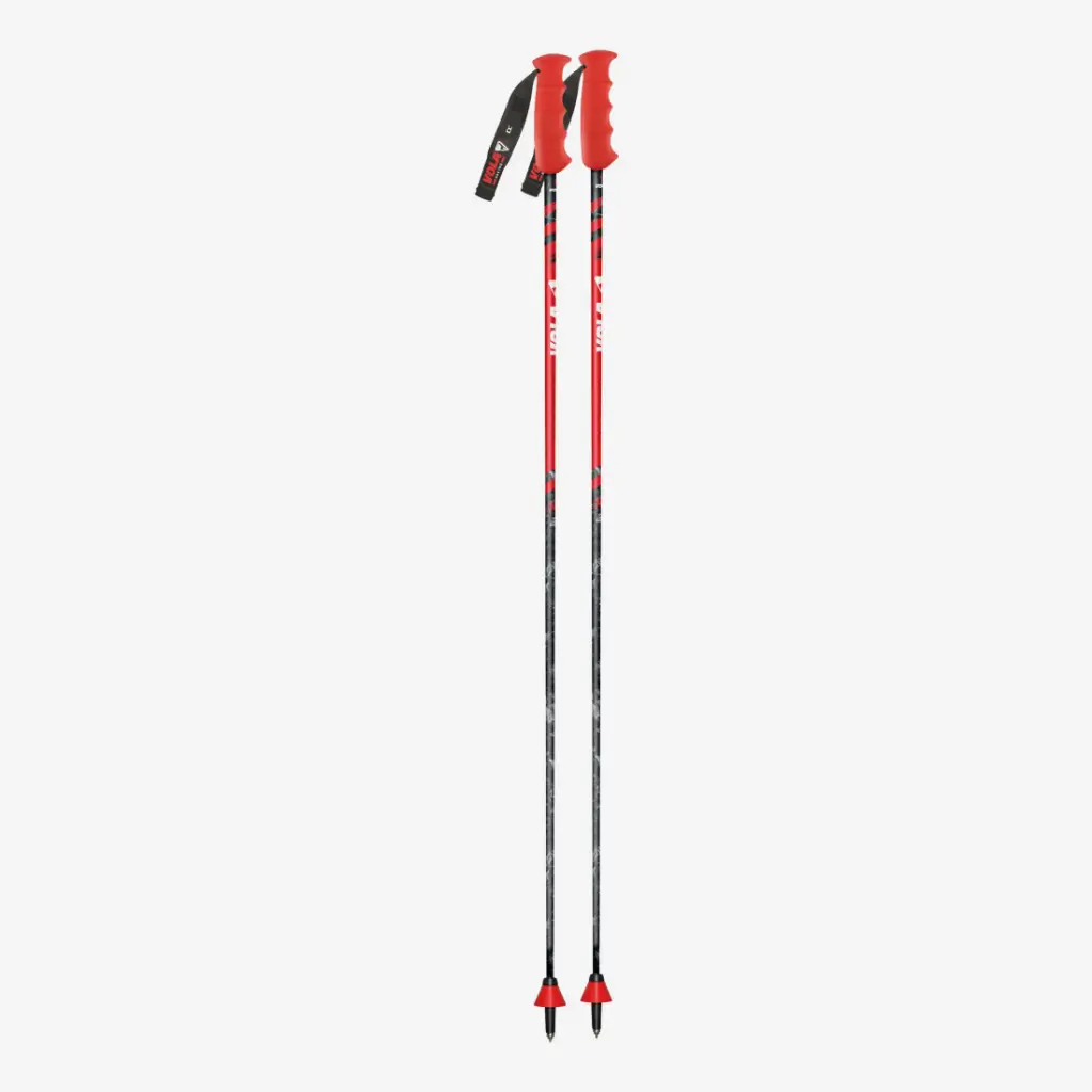 GS CARBON